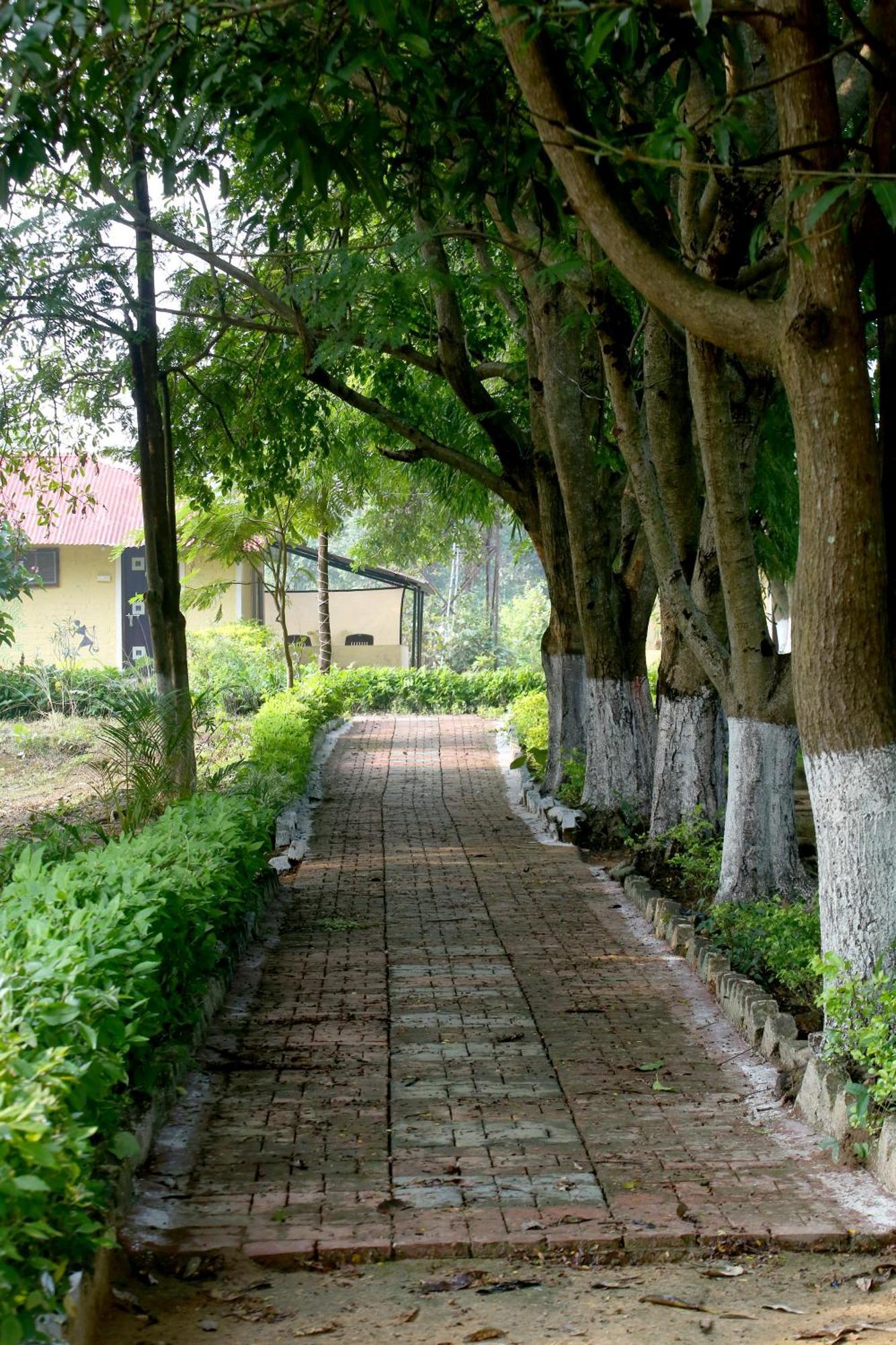 Tribal Wood Resort Dhanwar Ngoại thất bức ảnh