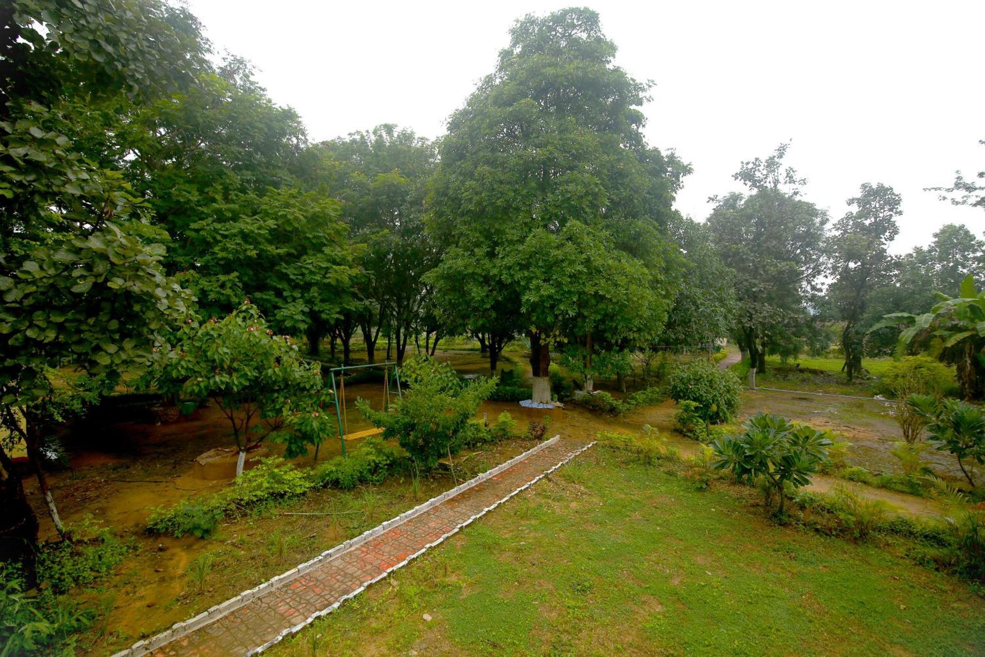 Tribal Wood Resort Dhanwar Ngoại thất bức ảnh